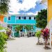 ambergris caye real estate