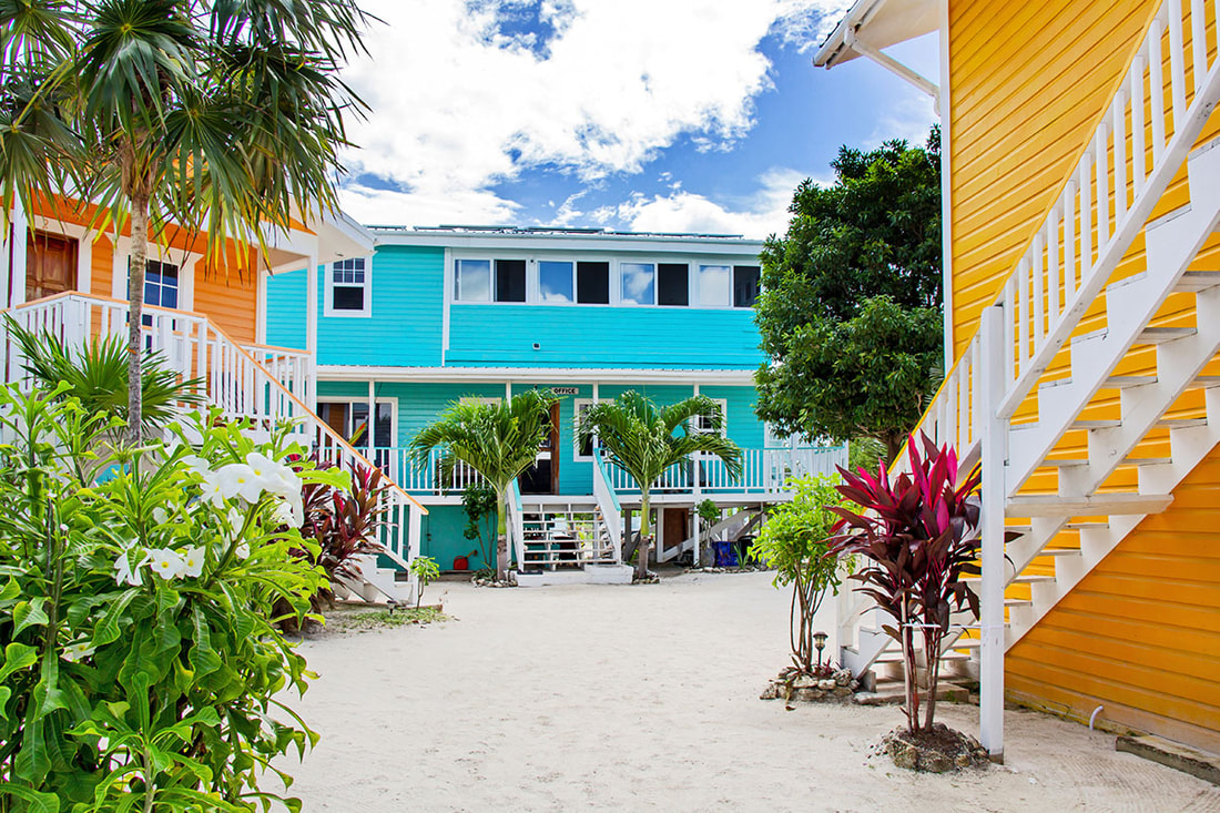 ambergris caye real estate