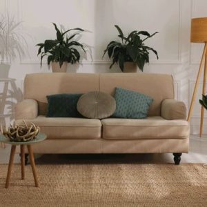 colours that go with beige sofa