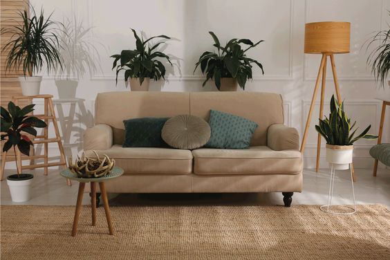 colours that go with beige sofa