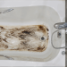 Water Backing Up in Tub
