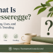 messeregge